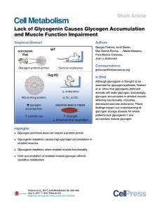 Cell-Metabolism_2017_Lack-of-Glycogenin-Causes-Glycogen-Accumulation-and-Muscle-Function-Impairment