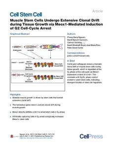 Cell Stem Cell-2017-Muscle Stem Cells Undergo Extensive Clonal Drift during Tissue Growth via Meox1-Mediated Induction of G2 Cell-Cycle Arrest