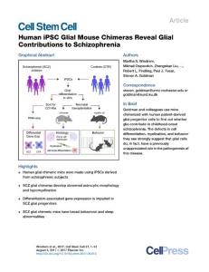 Cell Stem Cell-2017-Human iPSC Glial Mouse Chimeras Reveal Glial Contributions to Schizophrenia