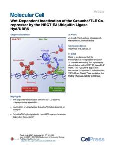 Molecular Cell-2017-Wnt-Dependent Inactivation of the Groucho-TLE Co-repressor by the HECT E3 Ubiquitin Ligase Hyd-UBR5