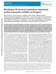 nchembio.2386-Blocking an N-terminal acetylation–dependent protein interaction inhibits an E3 ligase