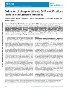nchembio.2407-Oxidation of phosphorothioate DNA modifications leads to lethal genomic instability