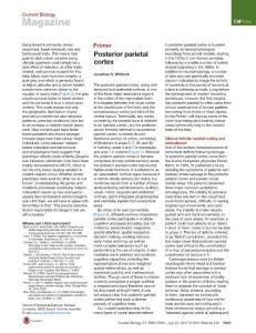 Current-Biology_2017_Posterior-parietal-cortex