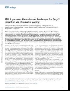 ni.3812-MLL4 prepares the enhancer landscape for Foxp3 induction via chromatin looping