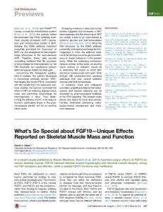 Cell-Metabolism_2017_What-s-So-Special-about-FGF19-Unique-Effects-Reported-on-Skeletal-Muscle-Mass-and-Function