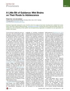 Cell-Stem-Cell_2017_A-Little-Bit-of-Guidance-Mini-Brains-on-Their-Route-to-Adolescence