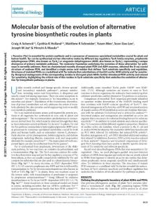 nchembio.2414-Molecular basis of the evolution of alternative tyrosine biosynthetic routes in plants -