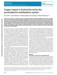 nchembio.2441-Copper import in Escherichia coli by the yersiniabactin metallophore system
