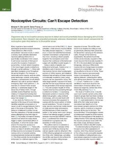 Current-Biology_2017_Nociceptive-Circuits-Can-t-Escape-Detection