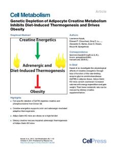 Cell-Metabolism_2017_Genetic-Depletion-of-Adipocyte-Creatine-Metabolism-Inhibits-Diet-Induced-Thermogenesis-and-Drives-Obesity