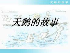 《天鹅的故事》ppt课件5