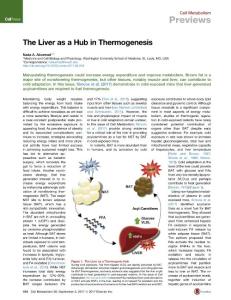 Cell-Metabolism_2017_The-Liver-as-a-Hub-in-Thermogenesis