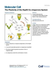 Molecular-Cell_2017_The-Plasticity-of-the-Hsp90-Co-chaperone-System