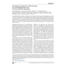 The-American-Journal-of-Human-Genetics_2017_Homozygous-Mutations-in-TBC1D23-Lead-to-a-Non-degenerative-Form-of-Pontocerebellar-Hypoplasia