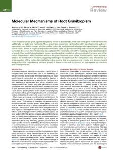 Current-Biology_2017_Molecular-Mechanisms-of-Root-Gravitropism