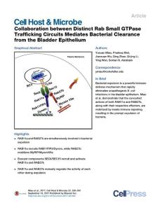 Cell-Host-Microbe_2017_Collaboration-between-Distinct-Rab-Small-GTPase-Trafficking-Circuits-Mediates-Bacterial-Clearance-from-the-Bladder-Epithelium