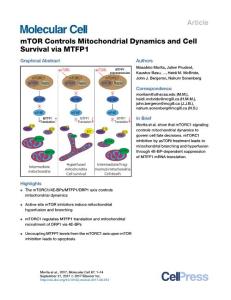 Molecular-Cell_2017_mTOR-Controls-Mitochondrial-Dynamics-and-Cell-Survival-via-MTFP1