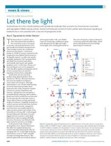nchembio.2464-Kinetochore regulation- Let there be light