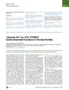 -Gamete-On-for-m6A-YTHDF2-Exerts-Essential-Functions-in-Female-Fertility_2017_Molecular-Cell