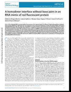 nchembio.2475-A homodimer interface without base pairs in an RNA mimic of red fluorescent protein
