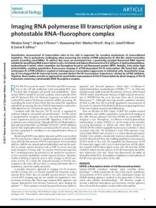 nchembio.2477-Imaging RNA polymerase III transcription using a photostable RNA–fluorophore complex