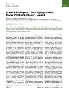Cell Stem Cell-2017-Gut with the Program Direct Reprogramming toward Intestinal Epithelium Realized
