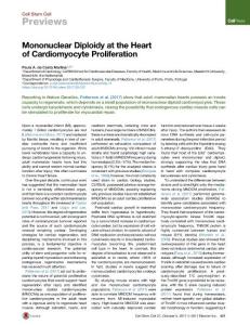 Cell Stem Cell-2017-Mononuclear Diploidy at the Heart of Cardiomyocyte Proliferation