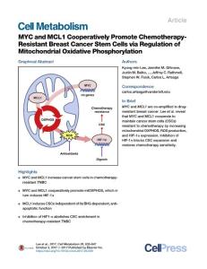 Cell Metabolism-2017-MYC and MCL1 Cooperatively Promote Chemotherapy-Resistant Breast Cancer Stem Cells via Regulation of Mitochondrial Oxidative Phosphorylation