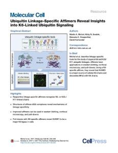 Molecular Cell-2017-Ubiquitin Linkage-Specific Affimers Reveal Insights into K6-Linked Ubiquitin Signaling