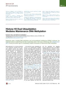 Histone-H3-Dual-Ubiquitylation-Mediates-Maintenance-DNA-Me_2017_Molecular-Ce