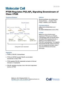 PTEN-Regulates-PI-3-4-P2-Signaling-Downstream-of-Class-I-_2017_Molecular-Cel