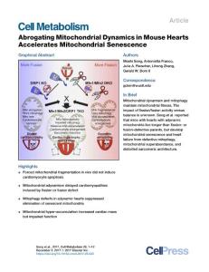 Cell Metabolism-2017-Abrogating Mitochondrial Dynamics in Mouse Hearts Accelerates Mitochondrial Senescence