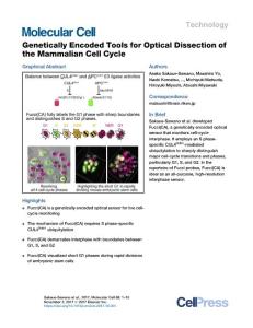 Molecular Cell-2017-Genetically Encoded Tools for Optical Dissection of the Mammalian Cell Cycle
