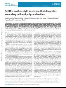 nchembio.2509-PatB1 is an O-acetyltransferase that decorates secondary cell wall polysaccharides