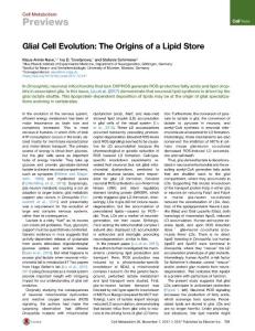 Glial-Cell-Evolution--The-Origins-of-a-Lipid-Store_2017_Cell-Metabolism
