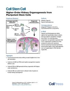 Higher-Order-Kidney-Organogenesis-from-Pluripotent-Stem-C_2017_Cell-Stem-Cel