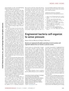 nbt.3992-Engineered bacteria self-organize to sense pressure