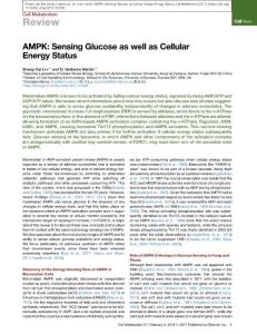 AMPK--Sensing-Glucose-as-well-as-Cellular-Energy-Status_2017_Cell-Metabolism
