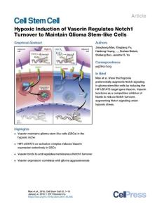 Hypoxic-Induction-of-Vasorin-Regulates-Notch1-Turnover-to-Mai_2017_Cell-Stem