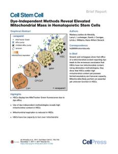 Dye-Independent-Methods-Reveal-Elevated-Mitochondrial-Mass-in_2017_Cell-Stem