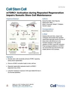 mTORC1-Activation-during-Repeated-Regeneration-Impairs-Somat_2017_Cell-Stem-
