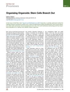 Organizing-Organoids--Stem-Cells-Branch-Out_2017_Cell-Stem-Cell