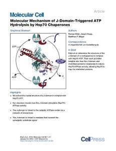 Molecular-Mechanism-of-J-Domain-Triggered-ATP-Hydrolysis-by-_2017_Molecular-