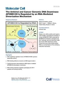 The-Antiviral-and-Cancer-Genomic-DNA-Deaminase-APOBEC3H-Is-Regu_2017_Molecul