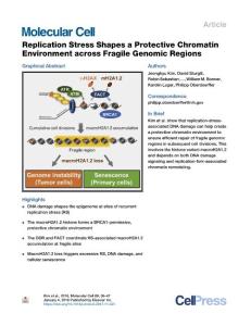 Replication-Stress-Shapes-a-Protective-Chromatin-Environment-_2018_Molecular