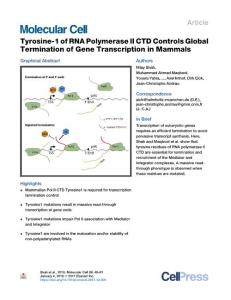 Tyrosine-1-of-RNA-Polymerase-II-CTD-Controls-Global-Terminatio_2018_Molecula