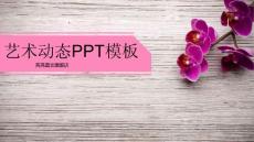 唯美艺工作汇报PPT