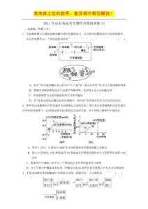 2011年山东省高考生物针对模拟训练13