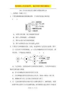 2011年山东省高考生物针对模拟训练20