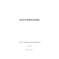 安全生产标准化自评报告